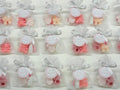 Mini BIRTH Soap with organza bag, 3 heart-shaped sugared almonds and personalized tag/birth/foot/pacifier/sugared almonds